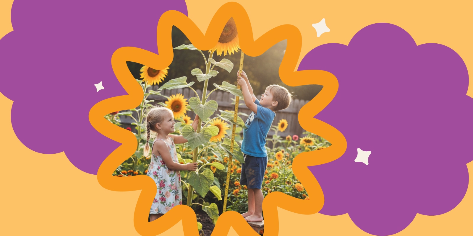 Kinder messen mit einem Massband die Höhe ihrer Sonnenblumen im Garten