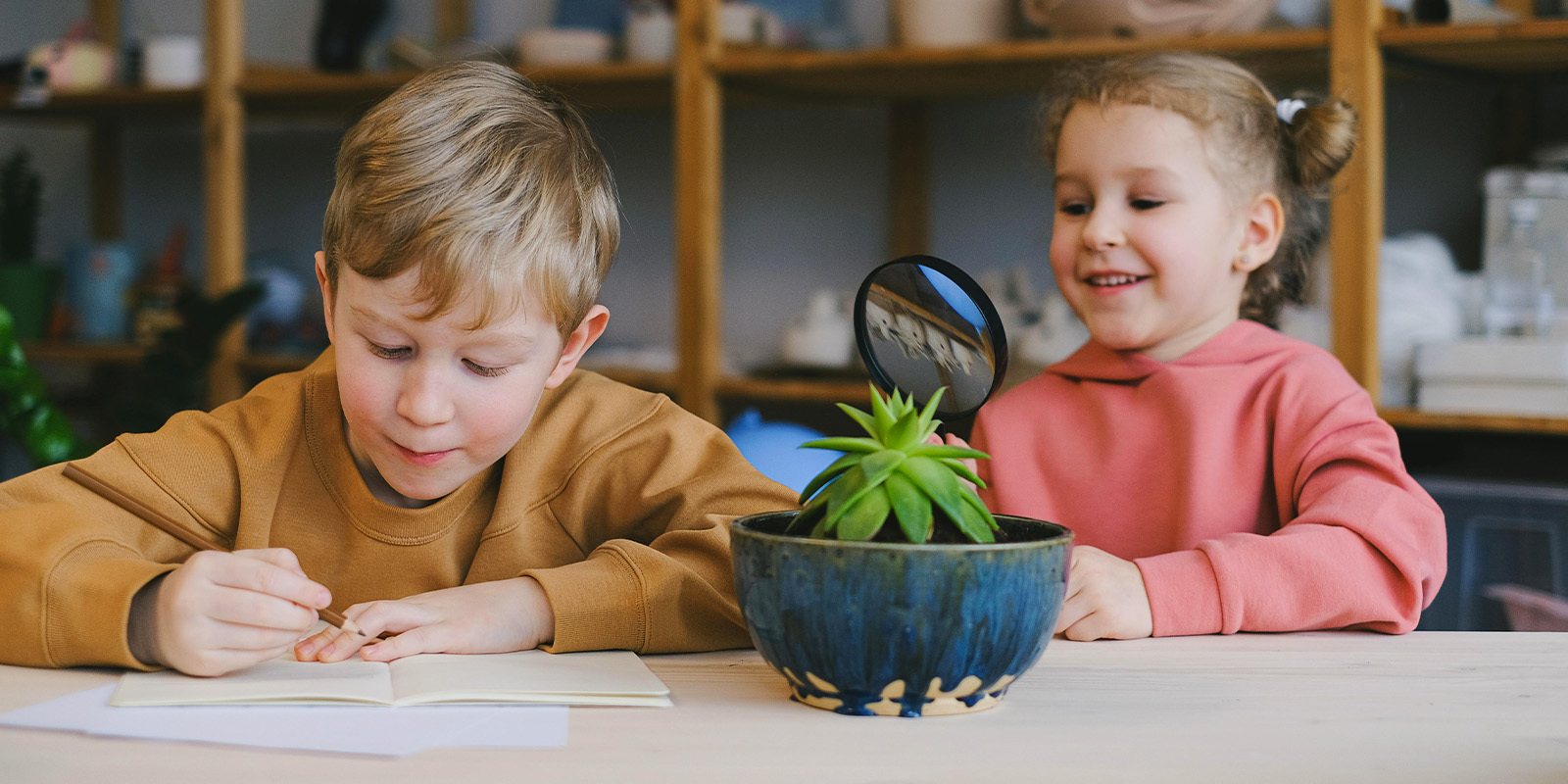 Zusammenarbeit zwischen Partnern von FleuropKIDS