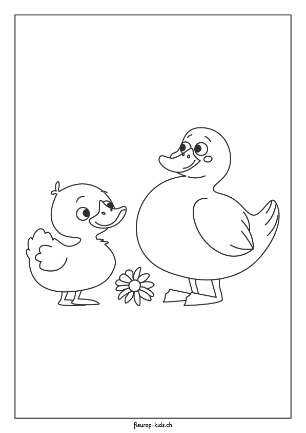 Enten