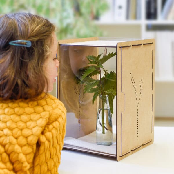 Kind mit Raupenkasten